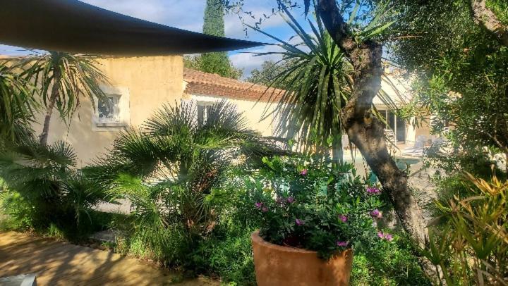 Le Clos Olives Comps  Luaran gambar