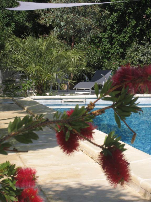 Le Clos Olives Comps  Bilik gambar
